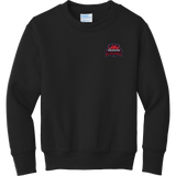 Philadelphia Resistance Youth Core Fleece Crewneck Sweatshirt